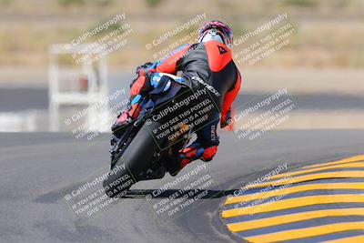 media/Oct-08-2022-SoCal Trackdays (Sat) [[1fc3beec89]]/Turn 11 Backside (1145am)/